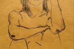 disegno10