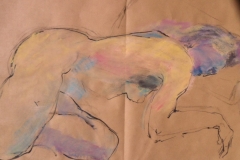 disegno11