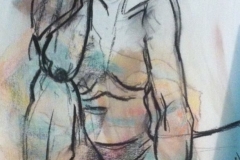 disegno9